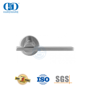 تصميم بسيط وأنيق للباب الرئيسي، مقبض ذراع أنبوبي مسطح-DDTH041-SSS