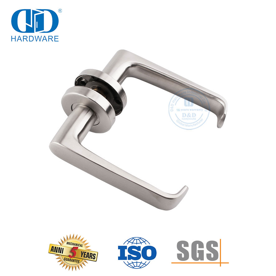 مقابض أبواب صلبة ذات طراز حديث عالي الجودة - DDSH036-SSS