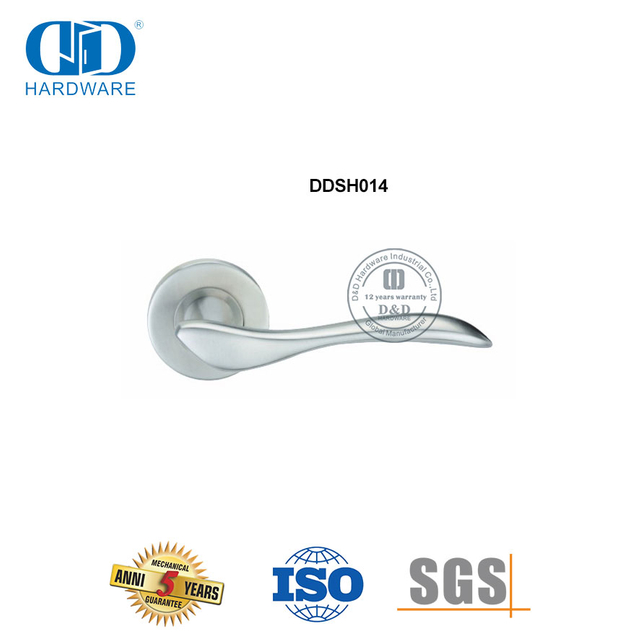 مقبض الباب الصلب المصنوع من الفولاذ المقاوم للصدأ من النوع المصبوب بدقة-DDSH014-SSS