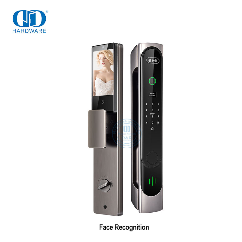 دخول بدون مفتاح إفتح مضاد للسرقة، قفل ذكي للمكتب، بطاقة IC، مسح رقمي للزجاج، معرف ثلاثي الأبعاد للتعرف على الوجه، قفل الباب الذكي-DDEL026