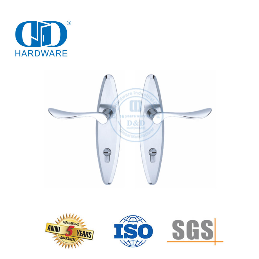 الكلاسيكية SUS304 عالية الجودة الحديثة الباب الخارجي مقابض صلبة رافعة مع Backplate-DDLP002