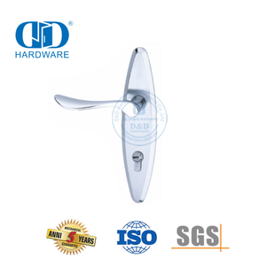 الكلاسيكية SUS304 عالية الجودة الحديثة الباب الخارجي مقابض صلبة رافعة مع Backplate-DDLP002