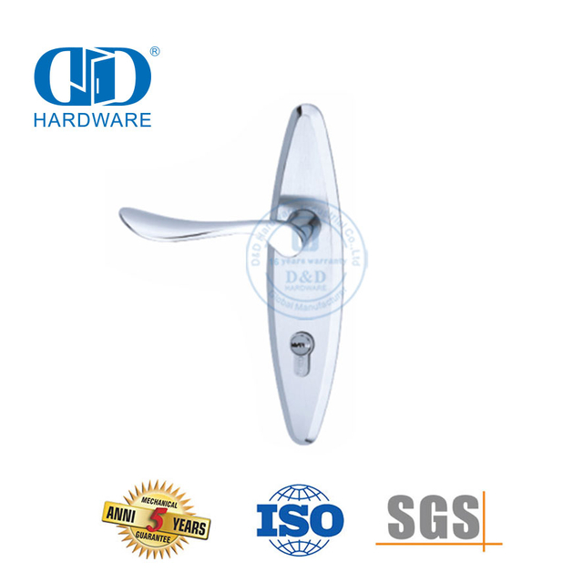 الكلاسيكية SUS304 عالية الجودة الحديثة الباب الخارجي مقابض صلبة رافعة مع Backplate-DDLP002