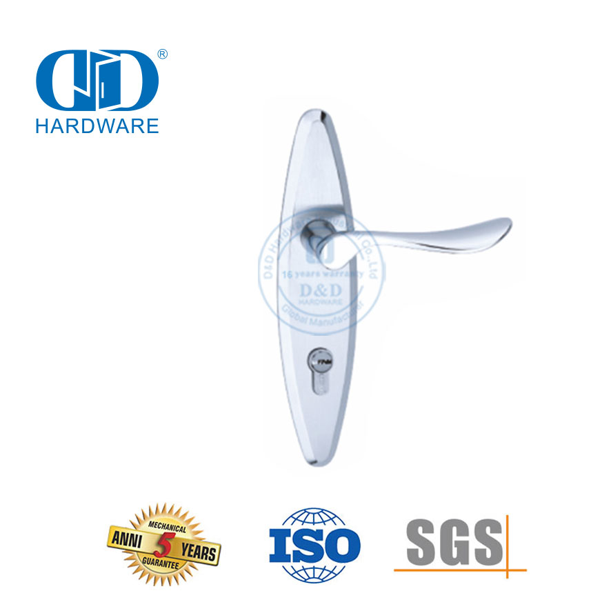 الكلاسيكية SUS304 عالية الجودة الحديثة الباب الخارجي مقابض صلبة رافعة مع Backplate-DDLP002