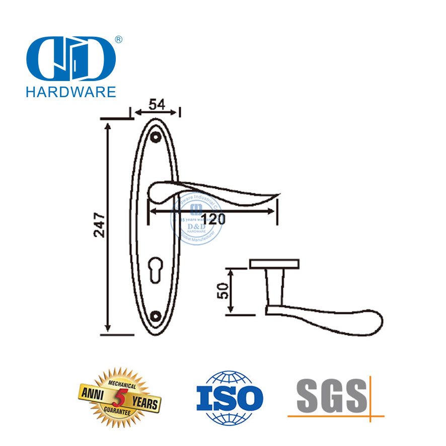 الكلاسيكية SUS304 عالية الجودة الحديثة الباب الخارجي مقابض صلبة رافعة مع Backplate-DDLP002